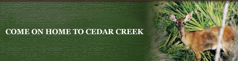 Come on home to Cedar Creek in Panama City, FL